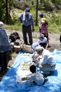 交流会の様子